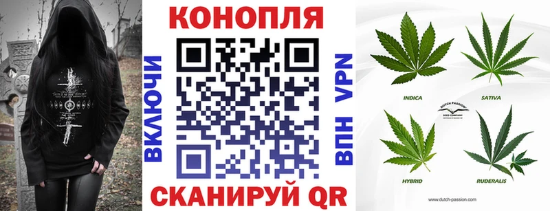Виды наркотиков купить Апшеронск Псилоцибиновые грибы  Бошки Шишки  СК  Меф  ГАШ 