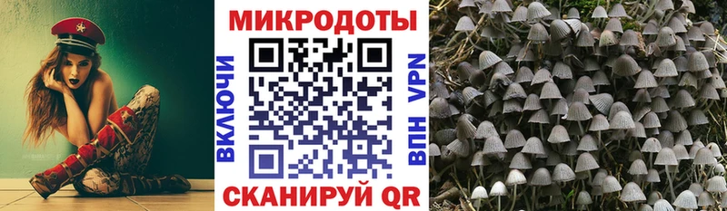 mega онион  где найти наркотики  Апшеронск  Галлюциногенные грибы Cubensis 
