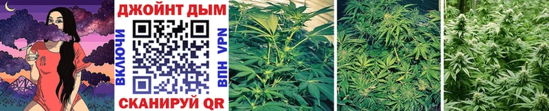 Бошки марихуана Bruce Banner  Апшеронск 